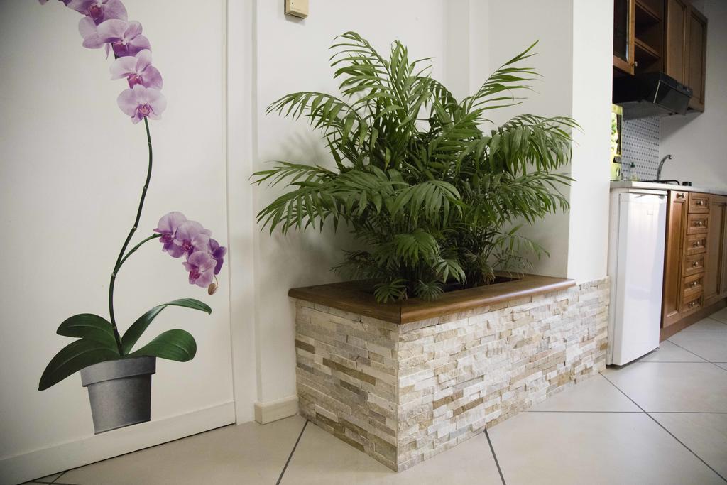 Apartment with Garden View,1607239200:JPEG