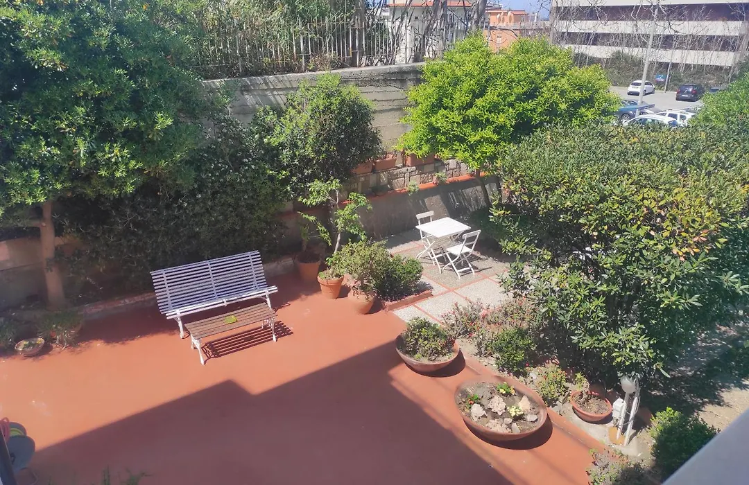 Lumachella B&B-1
