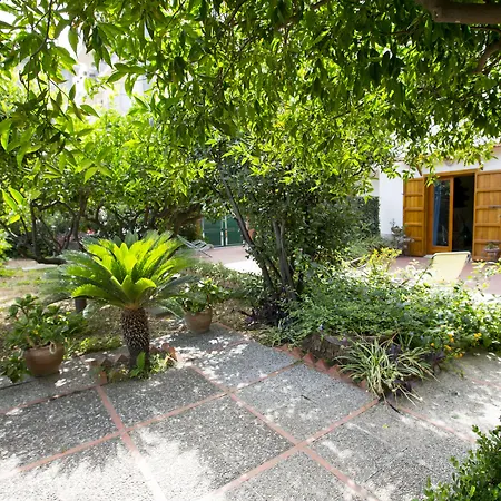 Lumachella B&B-3